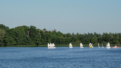 Panoramic-View-Of-The-Beautiful-Kolbudy-Village-In-Gdansk-Poland-And-People-Cruising---wide-shot