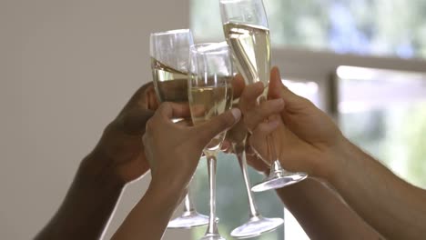 hands toasting wine glasses