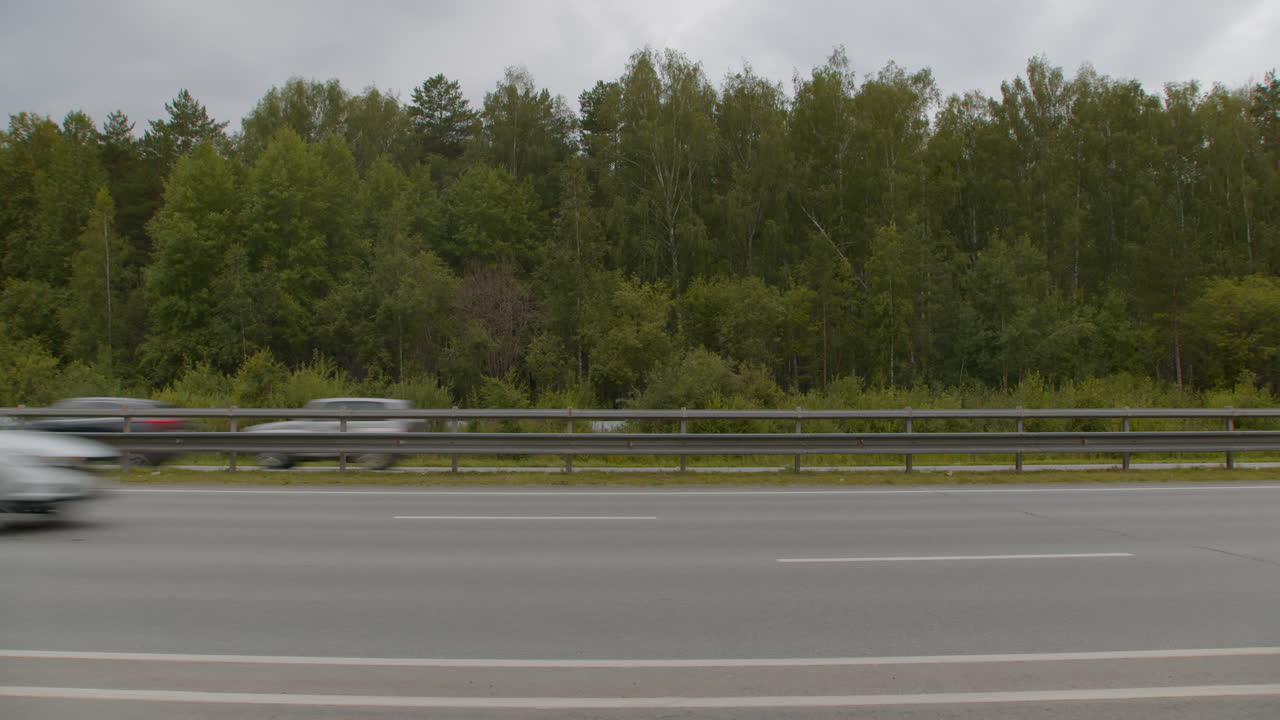 шоссе через лес в облачный день