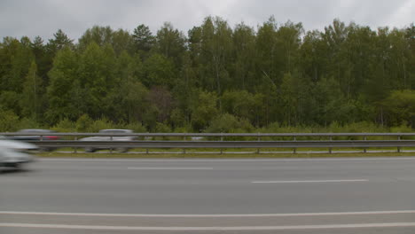 carretera a través de un bosque en un día nublado