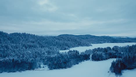 fly over forest in frozen landscape during winter