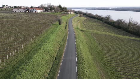 road amidst bayon-sur-gironde vineyards, france - aerial