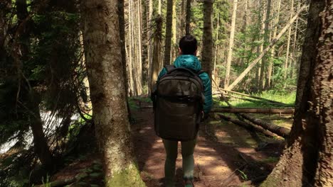 Hiking-woman-walk-with-a-hiking-backpack-in-spring-green-forest