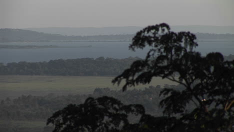 Mediumshot-of-the-branches-of-an-Acacia-tree-with-rolling-Ugandan-hills-in-the-distance