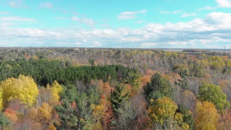 Following-Canada-geese-over-a-field-and-an-autumn-forest-just-outside-of-Ottawa,-Ontario