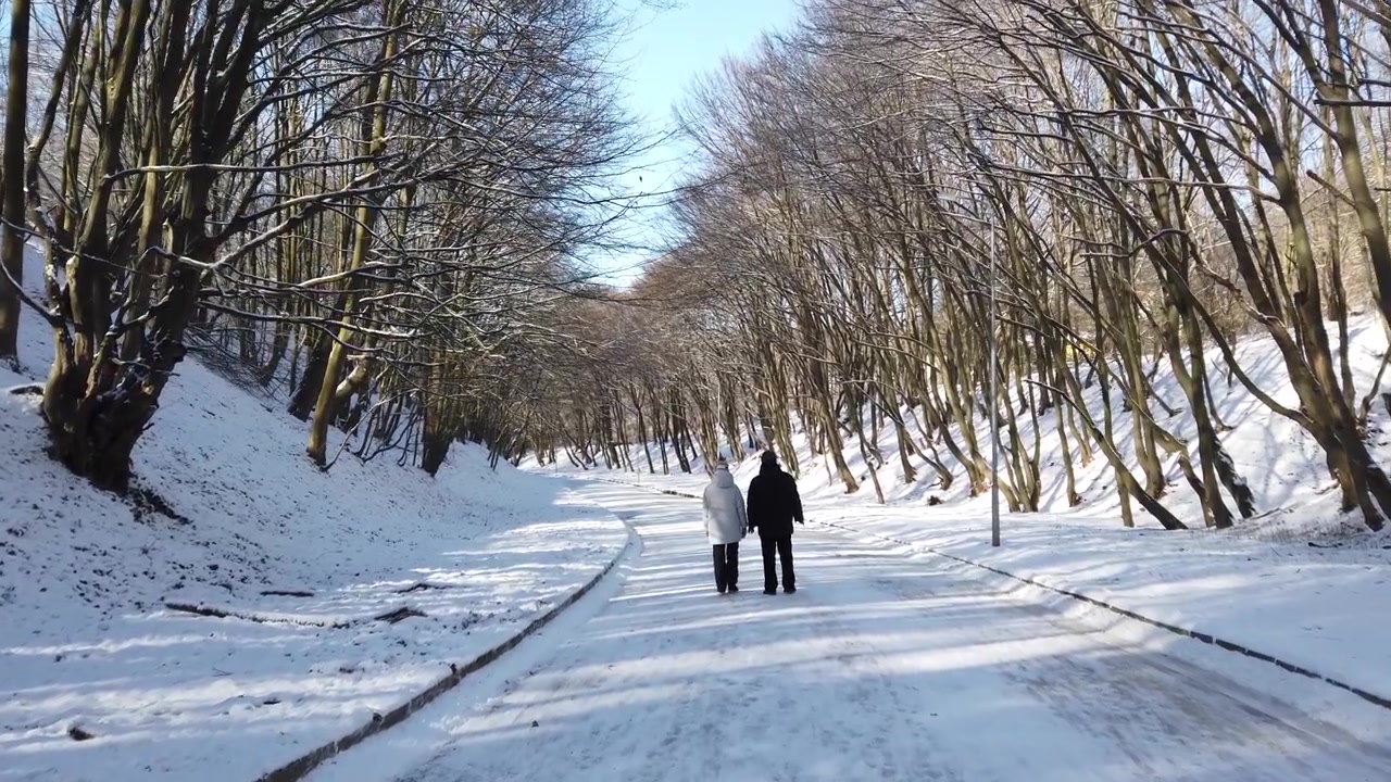 Parque de inverno. Neve e sol