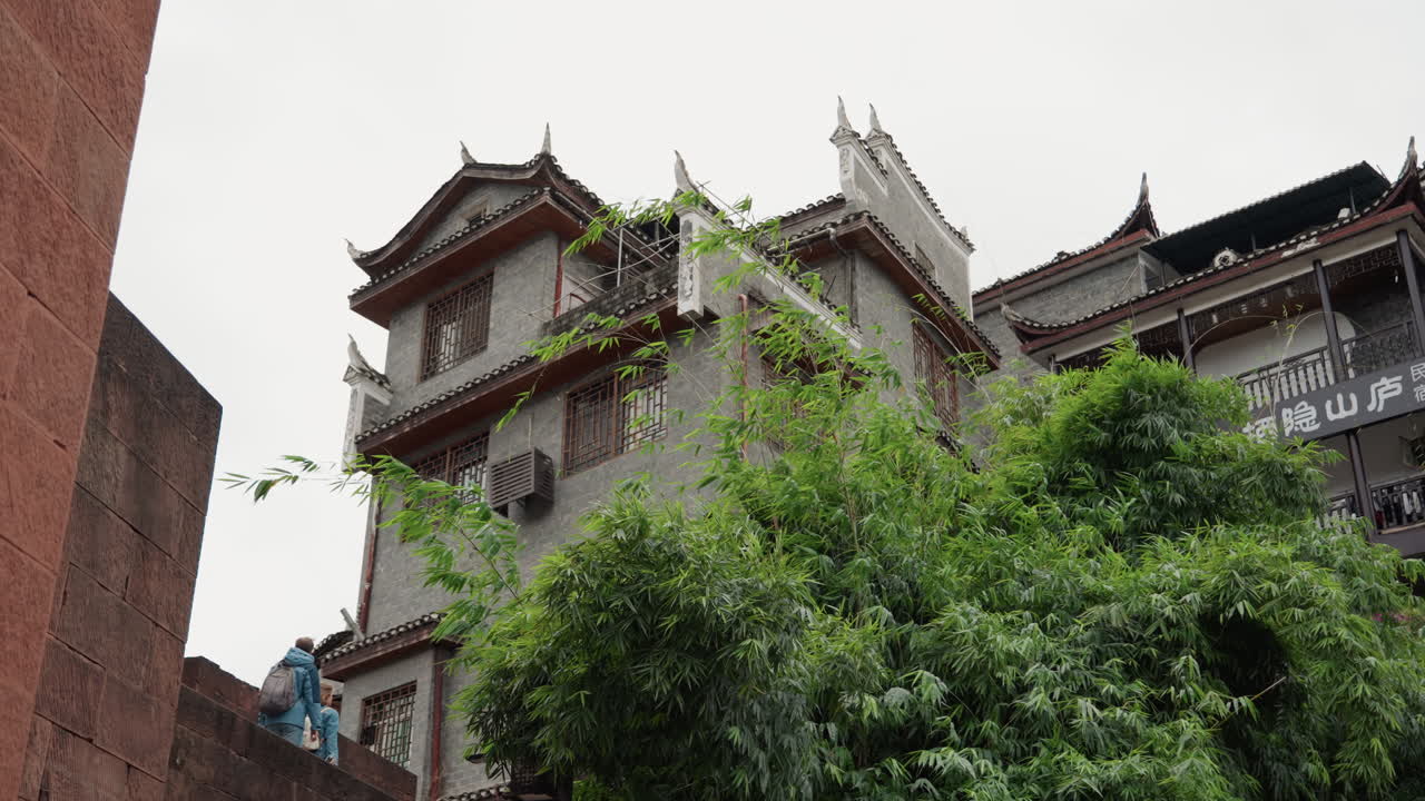 Mặt tiền ngôi đền Trung Quốc cổ kính bị cây cối bao phủ với dây thường xuân và cây leo dày đặc bám vào mái hiên chạm khắc tinh xảo, tháp gạch phong hóa, bầu trời xám xịt, khung cảnh hẻm phố đô thị góc thấp, gợi cảm giác bị bỏ hoang và thiên nhiên đang chiếm lại kiến trúc