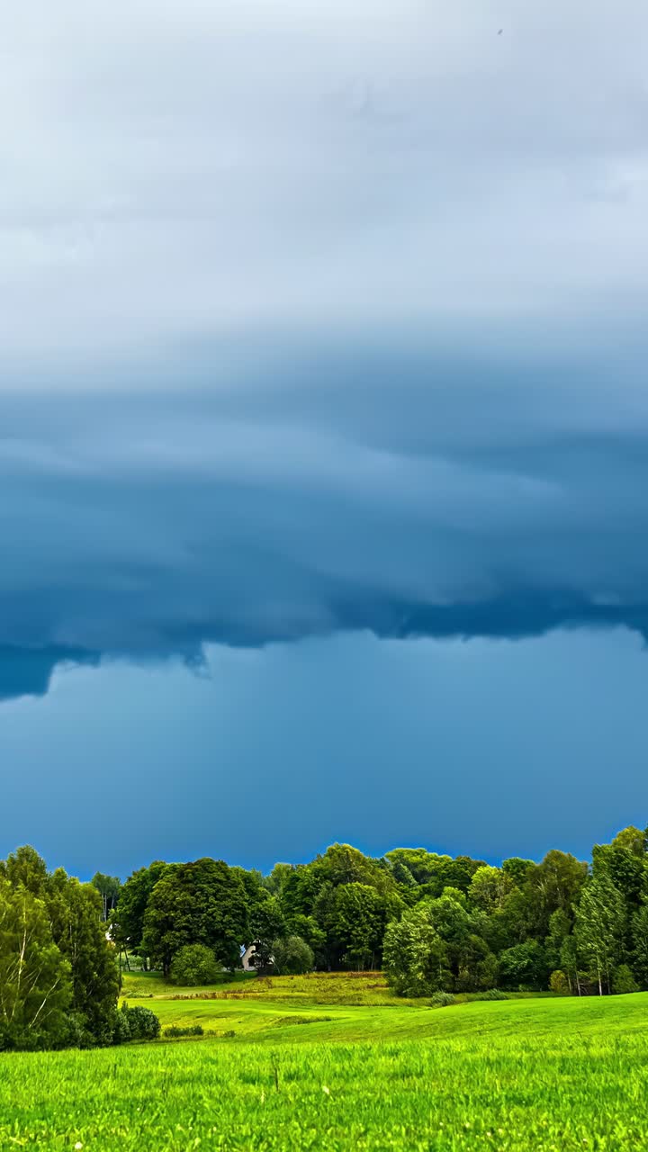 Vertical View Of Dark Clouds Passing Over Green Lush Nature. Timelapse