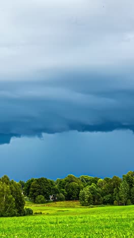 vertical view of dark clouds passing over green lush nature. timelapse