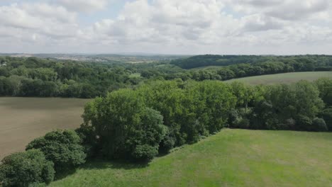garden with camera rise revealing wider green countryside, hedgerows, woodland and clouded horizon. summer, cornwall, uk.