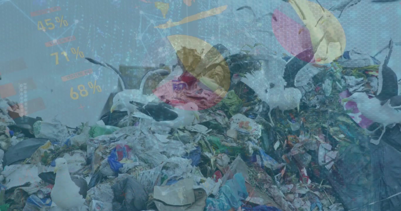 Video mostra uccelli su rifiuti in discarica con veicoli sotto un cielo tempestoso al rallentatore.