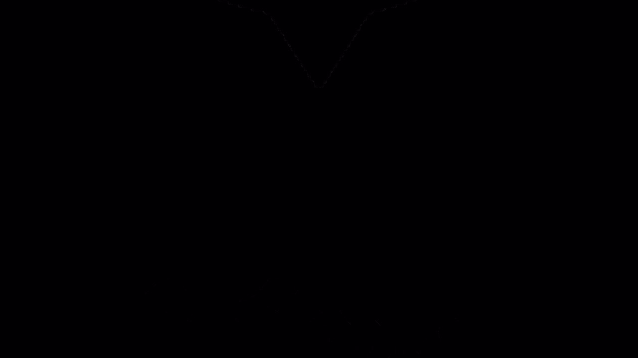 Bat Transitions. 1080p - 30 fps - Alpha Channel (1)