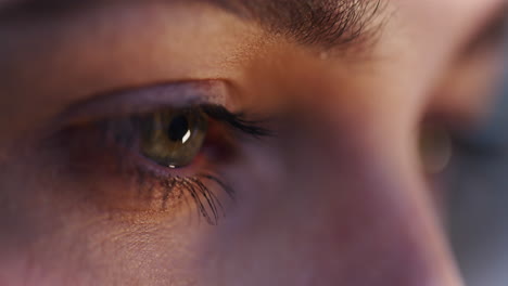 Close-Up-of-Concentrated-Woman's-Eye-Working-on-Computer