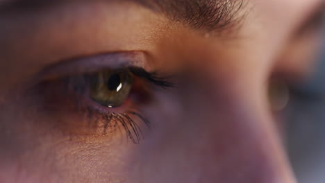 primer plano del ojo concentrado de una mujer trabajando en la computadora
