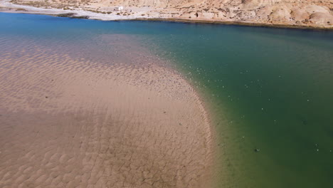 Bandada-Migratoria-De-Charranes-Caspio-En-El-Hermoso-Estuario-Del-Río-Olifants