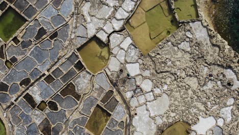 people walk among the ancient salt pans on the island of gozo in malta as seen from above