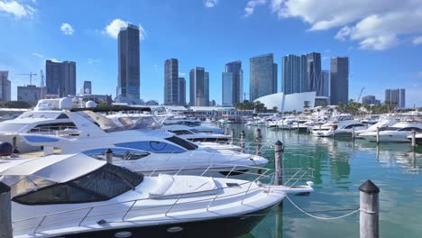 luxurious boat harbor in miami with city skyline and skyscraper, pan right