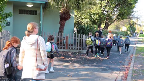 children walking towards zoo entrance with teachers