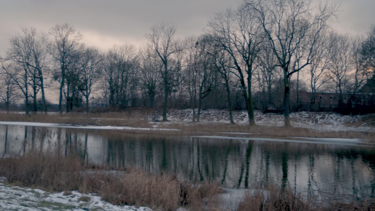 시골 영화 촬영, 호수 근처에 잎이 없는 눈 덮인 겨울 나무의 자연, 패닝 샷