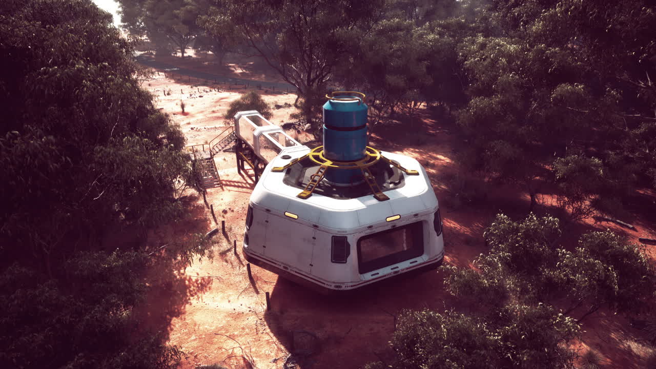 사막 숲에서 미래의 착륙선