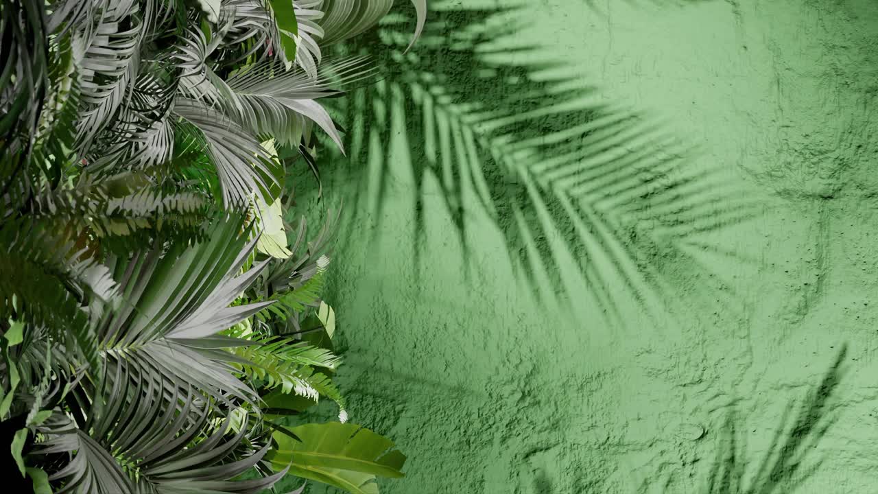 A Tropical green palm leaves on the left with leaf shadows on a textured green wall. Natural jungle foliage composition. Flat lay composition with copy space. Summer and nature, wallpaper vertical