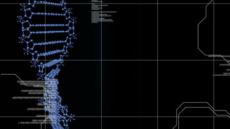 animation of blue dna strand spinning and data processing over grid on black background