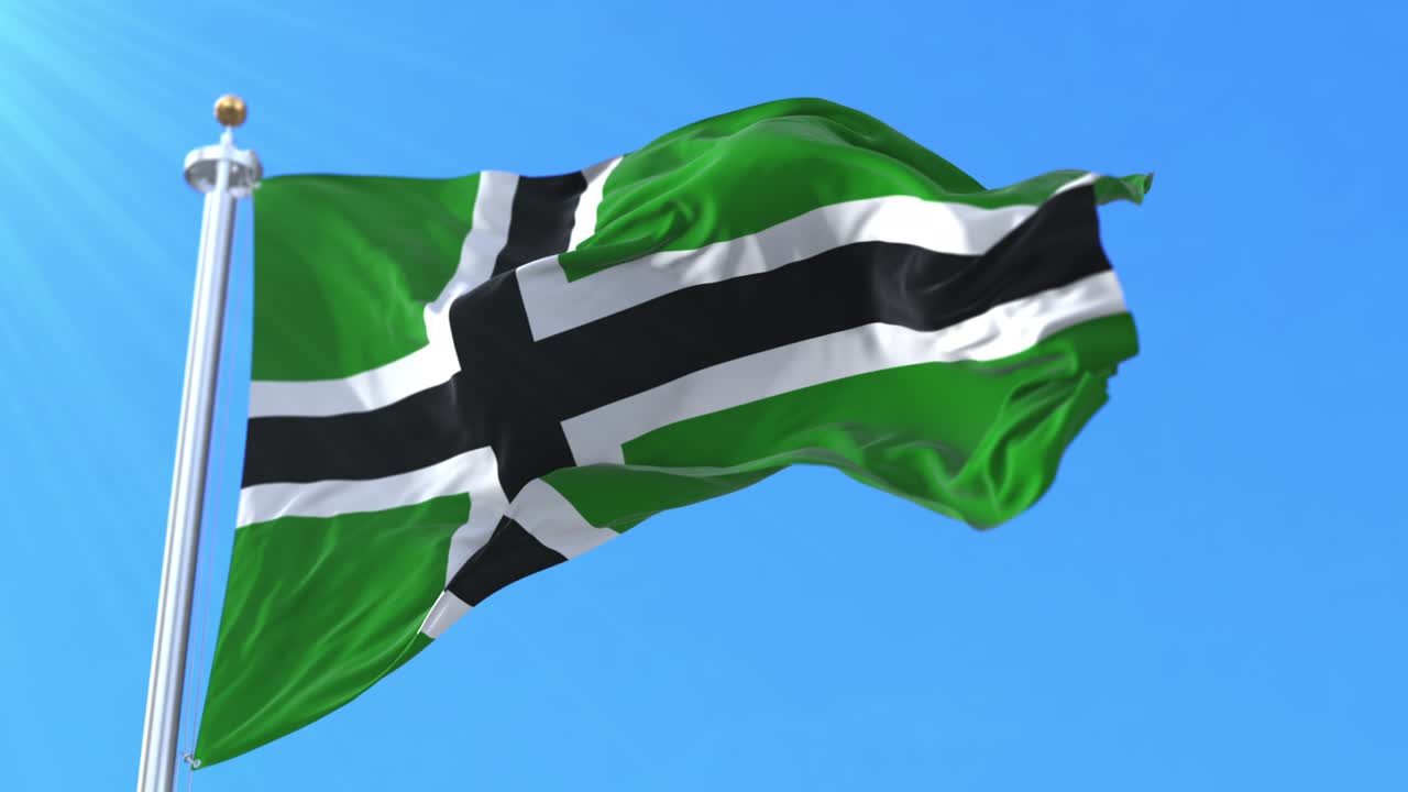 빈랜드 발이 바람을 향해 흔들리고 있습니다.