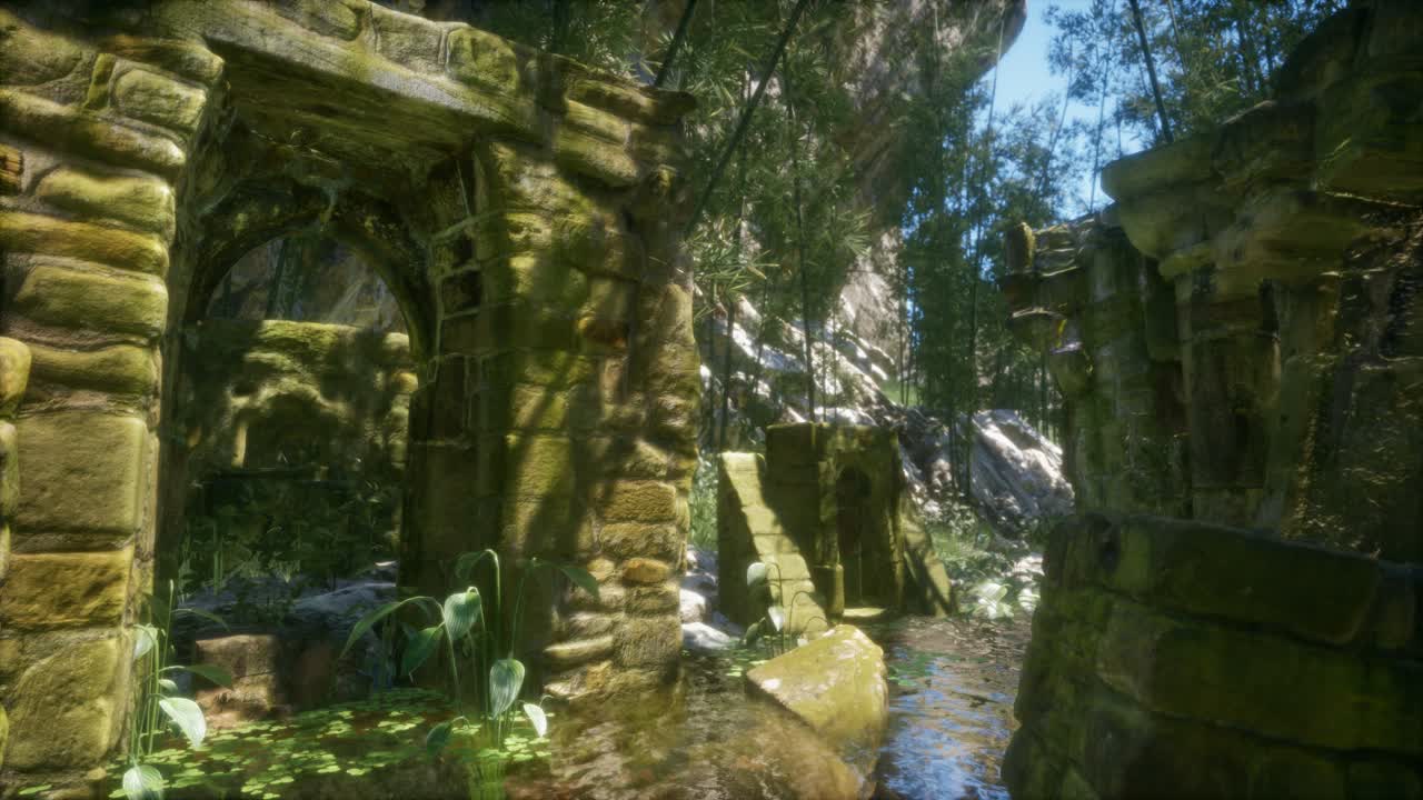 숲 속 의 돌 폐허, 버려진 고대 성