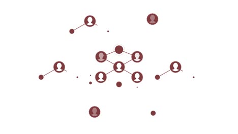 social network graph