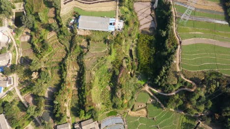 Ländliches-Land-In-China-Mit-Bauernhoffeld