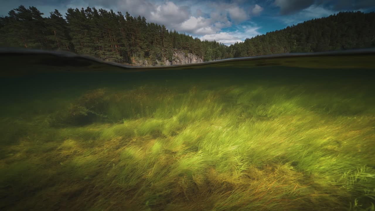 vista de dos niveles sobre y bajo el agua, otro río, noruega