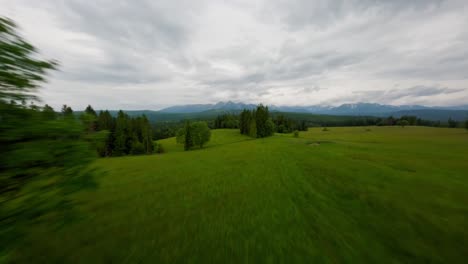 Grüne-Wiesen,-Wälder-Und-Tatra-Berge-Am-Horizont,-FPV-Luftansicht