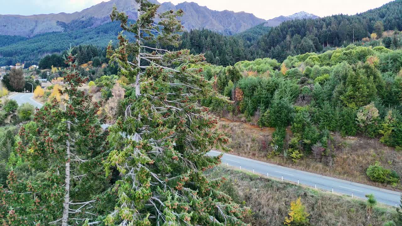 Aerial view of a car driving through lush forests near Lake Wakatipu, showcasing vibrant greenery and mountainous landscapes