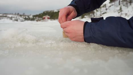 man on ice stringing bait on hook for winter fishing - close up