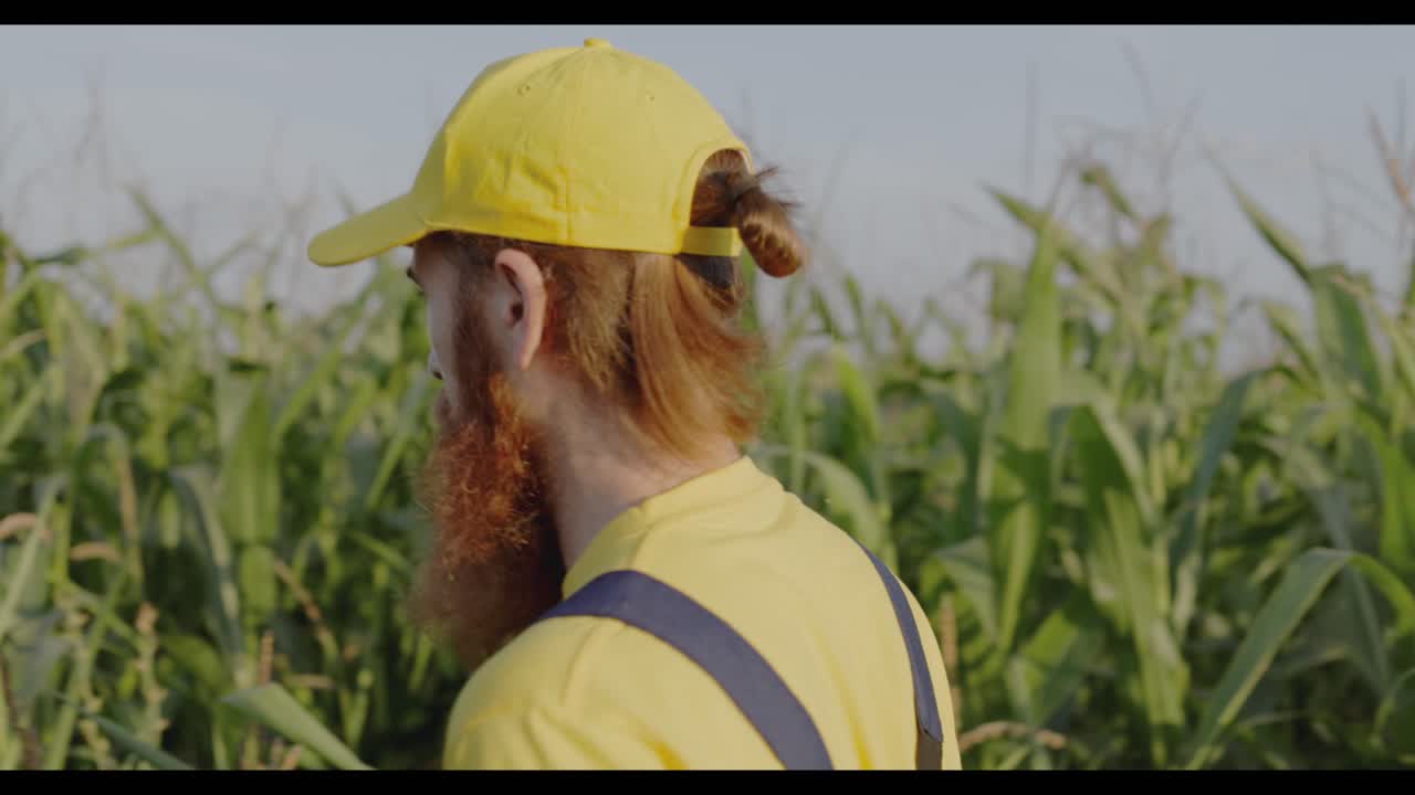 Farmer in a Cornfield