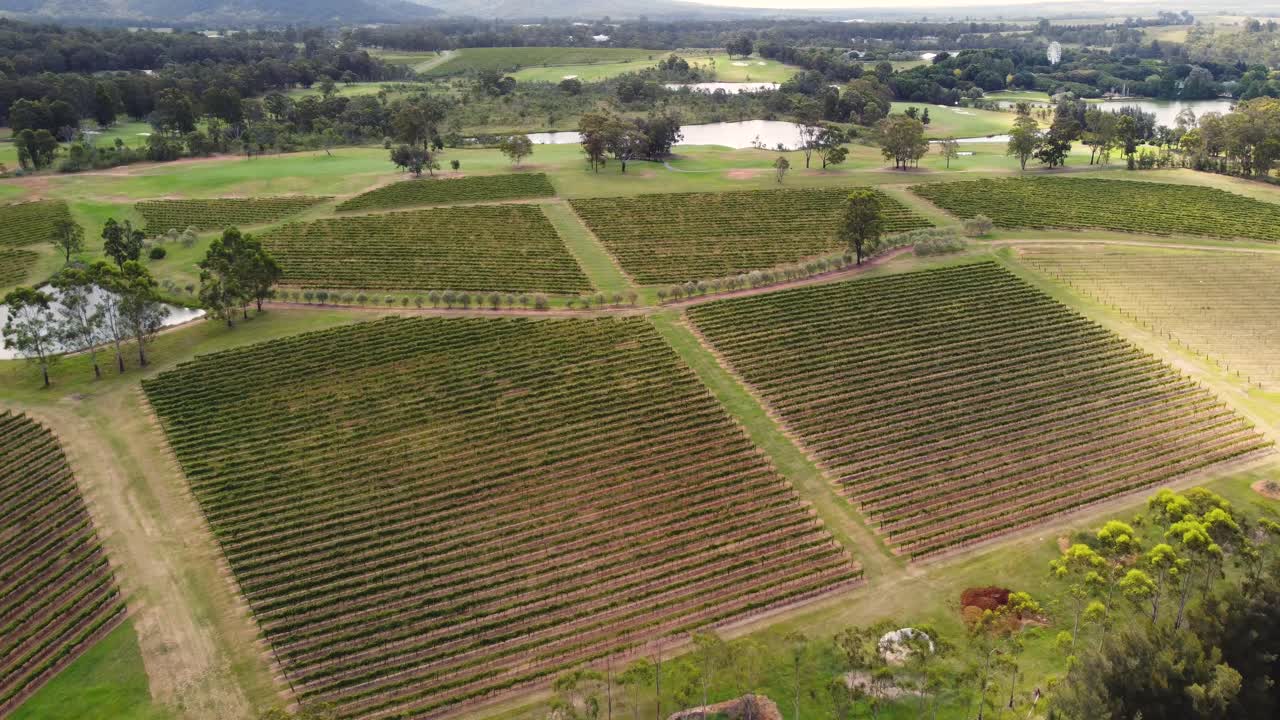 Aerial inland outback landscape shot of wine vineyards trees gardens farmland Upper Hunter Valley Pokolbin NSW Australia 4K