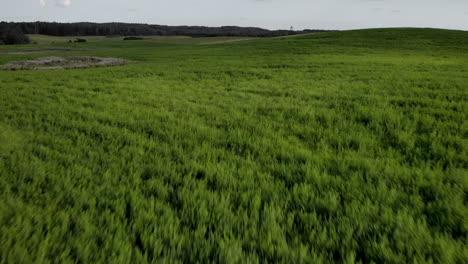 Aerial-shot-on-green-grass-field,-small-hills-and-trees-on-the-horizon