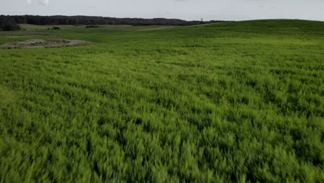 toma aérea en campo de hierba verde, pequeñas colinas y árboles en el horizonte