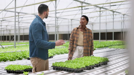 man, woman and inspection on hydroponic farm