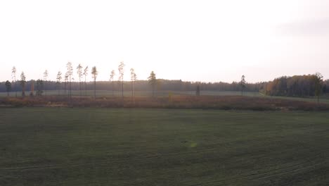 Panorámica-Aérea-De-Un-Bosque-Tristemente-Talado-En-Letonia-Con-Un-Fondo-Brillante