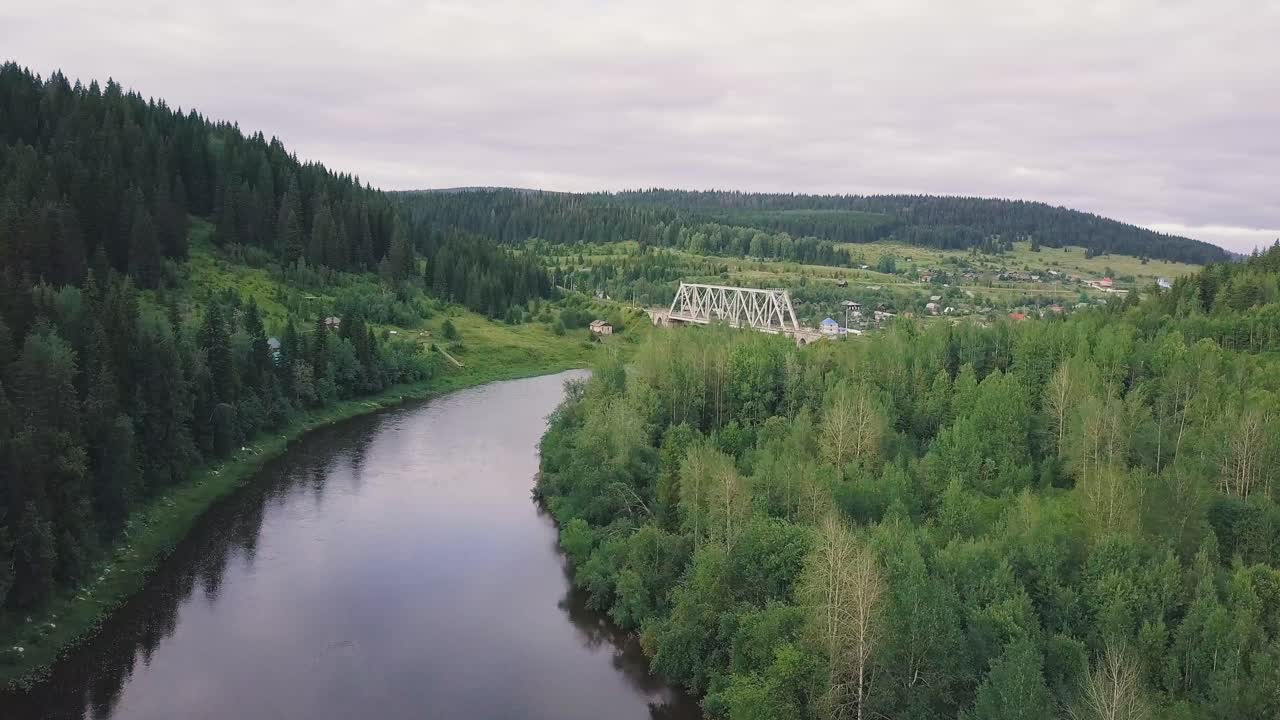 río y puente a través de un paisaje forestal