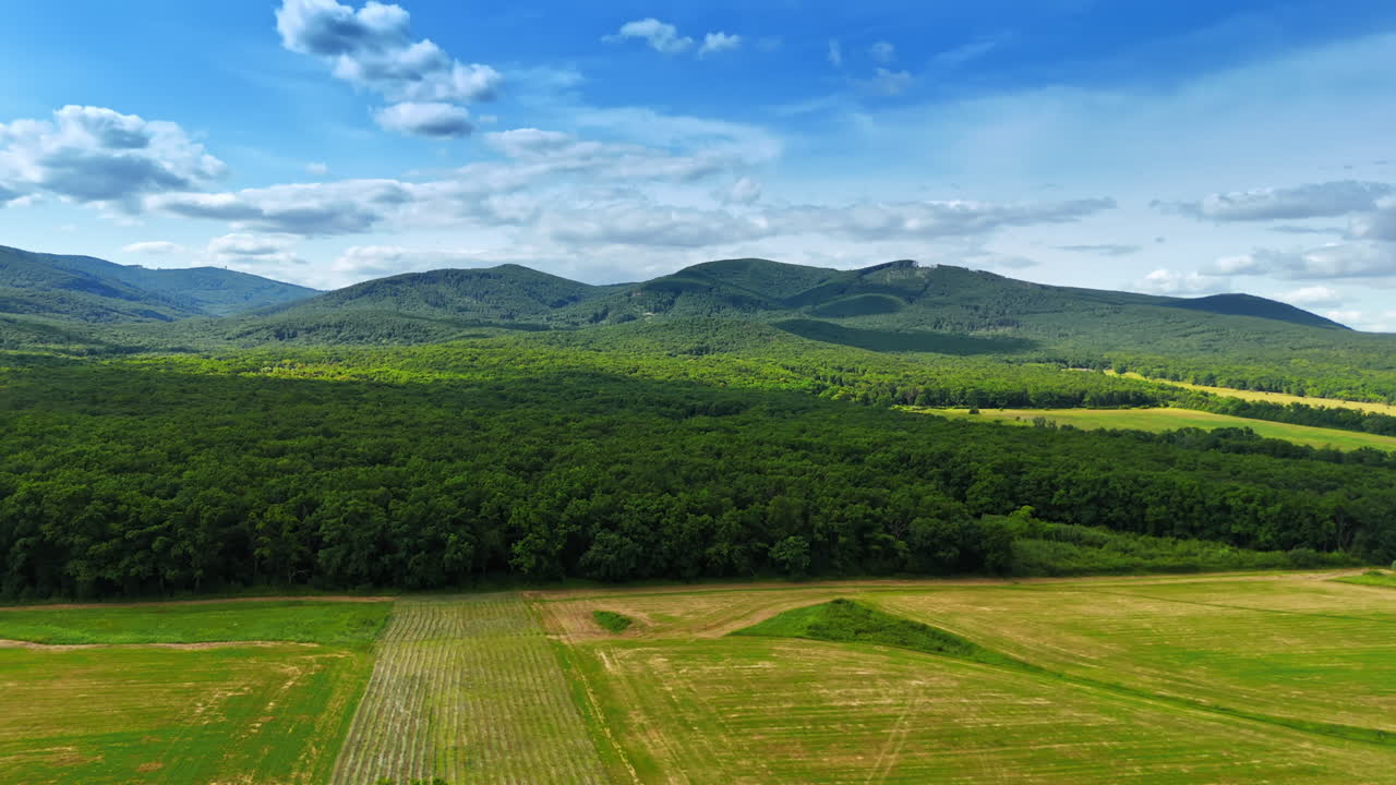 Mowed green meadow, lush beautiful forest, verdant mountains. Blue cloudy sky over the stunning nature landscape. Aerial view.