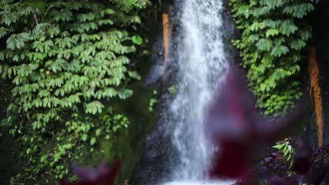 toma en cámara lenta de una de las muchas hermosas cascadas banyu wana amertha en las selvas de bali, indonesia