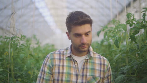man in a greenhouse