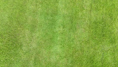 aerial view of a vast green grass field