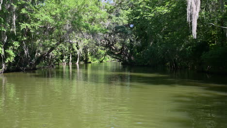 Vista-Lateral-De-Un-Tranquilo-Viaje-En-Bote-A-Través-De-Un-Bosque-De-Cipreses-Con-Musgo-Español-Colgando,-Canal-Dora,-Florida