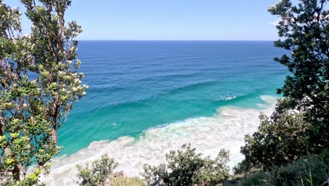 static shot of ocean waves from a forested bluff