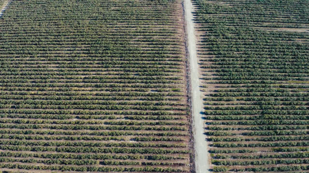 Aerial fly over cannabis marijuana farm processing plant at a gated bob wired road side on a hot sunny summer day in BC Canada for medicinal use governemnt regulated THC sativa Cannabaceae family 3-3