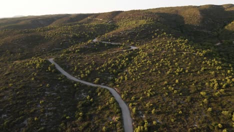 Tiro-De-Dron-De-Coche-Conduciendo-Por-La-Carretera-Ventosa-Con-Pequeños-árboles-Verdes-Y-Exuberantes-A-Su-Alrededor