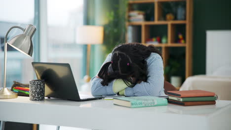 tired student sleeping at desk with laptop and books